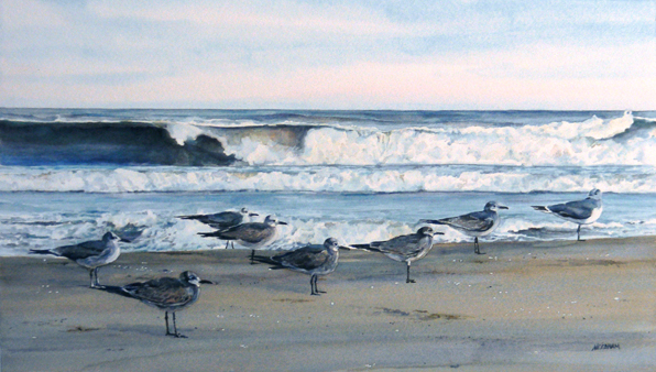 GULLS ON BREAK by Thomas A Needham