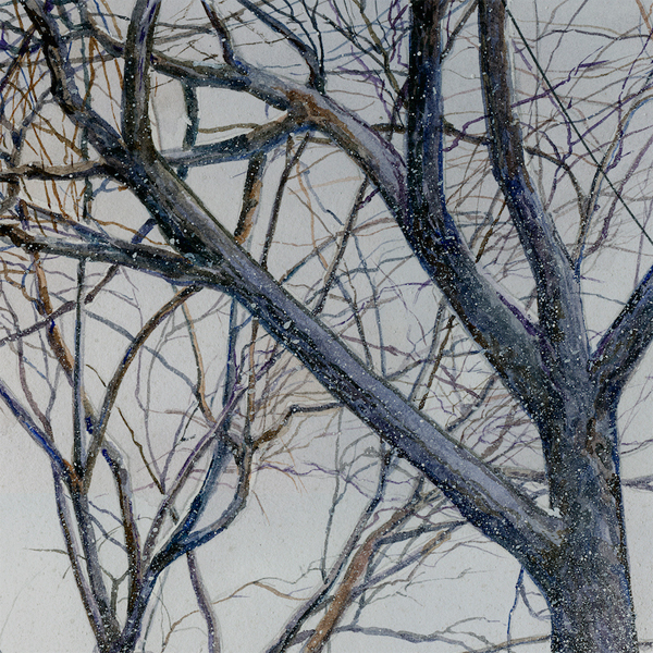 BARN CATS, watercolor detail by Thomas A Needham