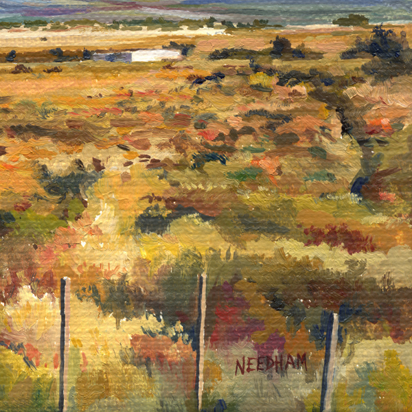 Detail of ARIZONA RANCH by Thomas A Needham