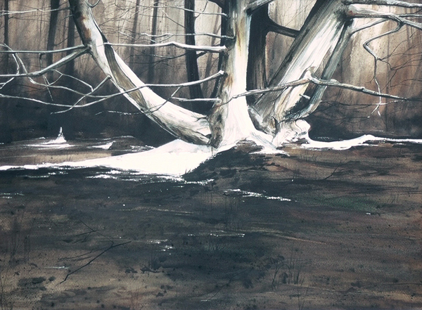 DARK WOODS, landscape watercolor by Thomas A Needham