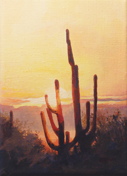 PHOENIX SUNSET by Thomas A Needham