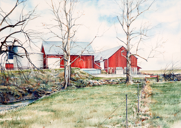 ROBISON'S FARM by Thomas A Needham