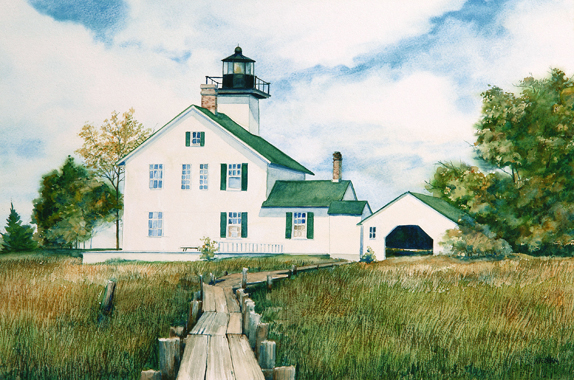  Long Tail Point Watercolor by Thomas A Needham