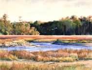 Afternoon Marsh Icon