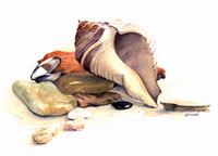 Beach Life Icon