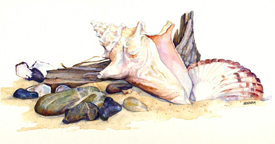 SeaShore 149 Icon