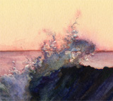 Seascape Gallery One Icon