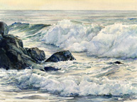 Sea And Surf Icon