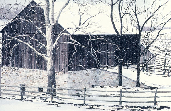 WHITE SYCAMORE, snowscape watercolor by Thomas A Needham